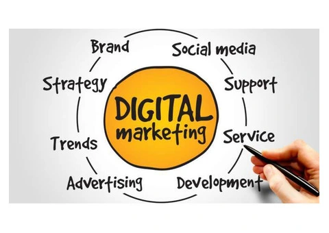 Professional Digital Agency in Adelaide