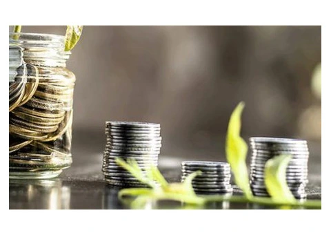 Trusted Consultant Services in Sydney for Your Business Success