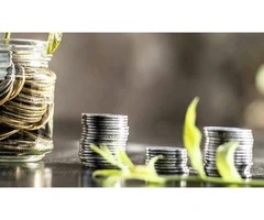 Trusted Consultant Services in Sydney for Your Business Success