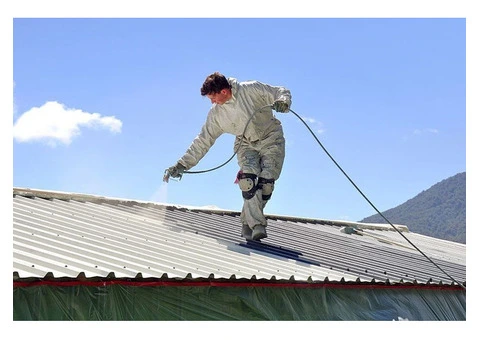 Brighten Up Your Home with Roof Tile Paint in Melbourne