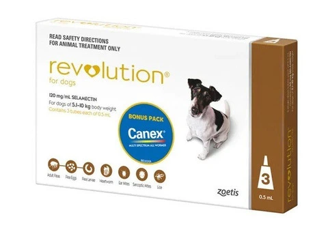 Revolution Selamectin For Small Dogs 5.1 To 10Kg