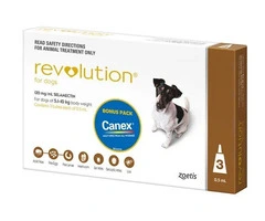 Revolution Selamectin For Small Dogs 5.1 To 10Kg