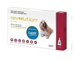 Revolution Selamectin For Small Dogs 5.1 To 10Kg