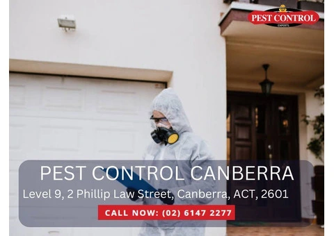 Mice Control Canberra Solutions That Work Fast