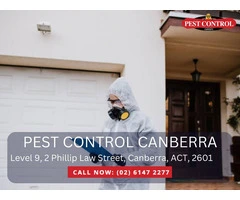 Mice Control Canberra Solutions That Work Fast