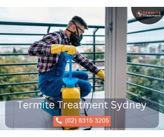 Fast and Reliable Emergency Termite Control Services