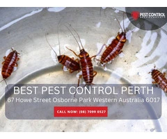Professional Pest Exterminators Perth Locals Trust