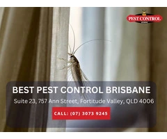 Trusted Team for Commercial Pest Inspection