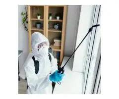 Top-Rated Queensland Carpet Cleaning Services – Fresh, Clean & Affordable!