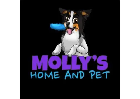 Molly’s Home and Pet Pty Ltd