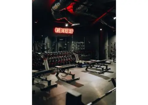 Shoppe on Langley Park - 8/12