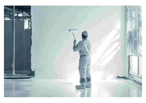 Elevate Your Property with Brisbane's Premier Painting Experts – Compaint