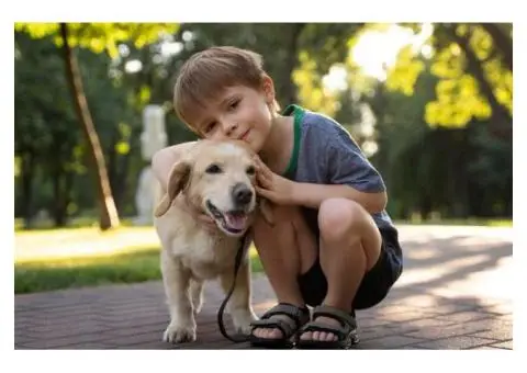 Learn About your Child’s ‘Puppy Love’ from Early Childcare Centre Jandakot