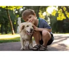 Learn About your Child’s ‘Puppy Love’ from Early Childcare Centre Jandakot