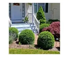 Expert Plant Sourcing in Melbourne for Beautiful, Functional Gardens