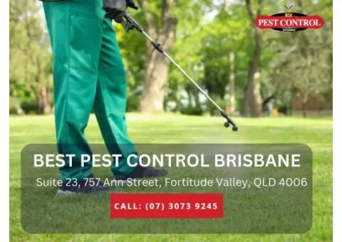 Trusted Residential Pest Control Brisbane for Peace of Mind