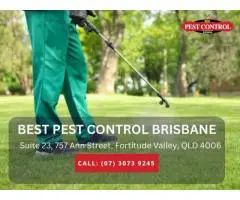 Trusted Residential Pest Control Brisbane for Peace of Mind