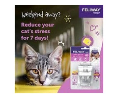 Feliway Cat Products