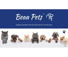 Beau Pets Dog Car Harness