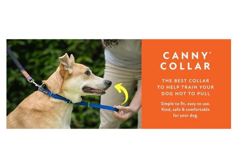 Canny Collar for Dogs