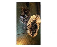 Supply Of MITSUBISHI Engine Spare Parts | Worldwide