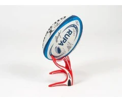 Buy Rugby League Training Ball from That Training Ball