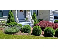 Get Expert Tree Pruning Services by ClayFields Hort