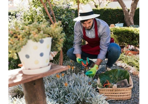 Bushes and Weeds all over the Place? Try General Gardening!