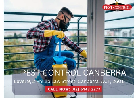 Effective Termite Protection in Canberra