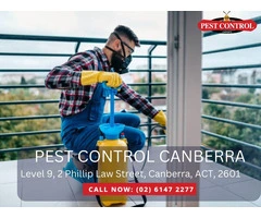 Effective Termite Protection in Canberra