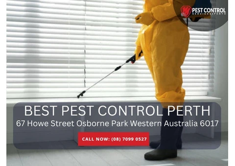 Fast & Safe Pest Removal in Perth