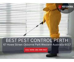 Fast & Safe Pest Removal in Perth