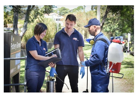 Fast and Effective Pest Control Epping Services Available with PestExpress