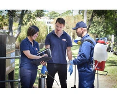 Fast and Effective Pest Control Epping Services Available with PestExpress