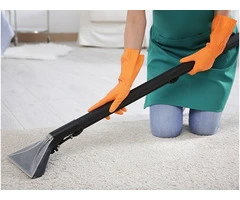 Transform Your Home with Professional Carpet Cleaning in Port Melbourne
