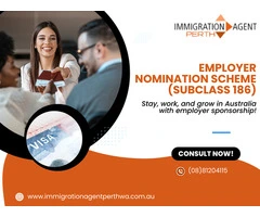 Your Complete Guide to the Employer Sponsored Visa 186