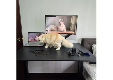 Affordable Desks in Australia