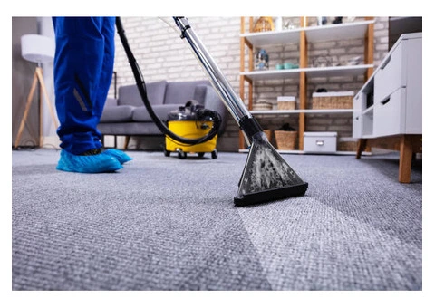 Professional Carpet Cleaning Services in Forest Hill: Emergency Carpet Cleaning