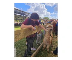 Trusted Disability Support Workers in Sydney | Concept Care