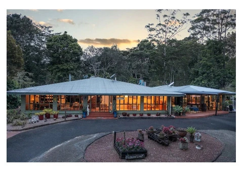 Book Affordable Accommodation Near Malanda for a Relaxing Retreat