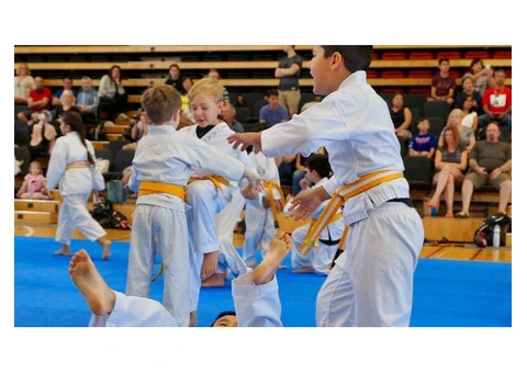 Checkout the Kids Karate Kickstarter of the Top Karate Lessons Near Me Australia