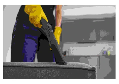 Carpet Cleaning Kings – The Best Carpet Cleaning Company for Spotless, Fresh Carpets!