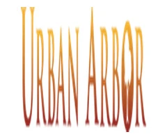 Arboriculture Consulting Services in Sydney