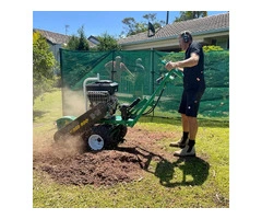 Stubborn Stumps Meet Their Match: Stump Grinder Hire Gold Coast