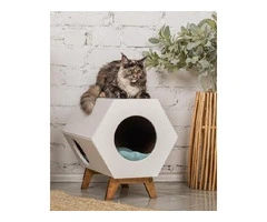 Best Cattery in Melbourne - Your Cat’s Private Kingdom