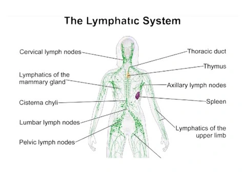 Manual Lymphatic drainage massage in Sydney