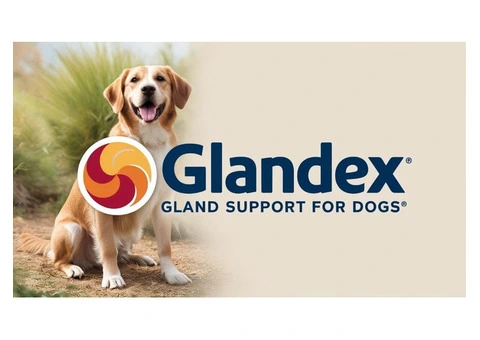 Glandex for Dogs: The Key to Healthy, Happy Pets