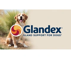 Glandex for Dogs: The Key to Healthy, Happy Pets