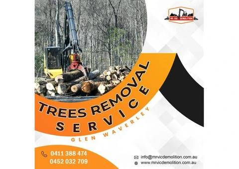 Implementing Safety at Work Site with Trees Removal Service