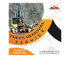 Implementing Safety at Work Site with Trees Removal Service